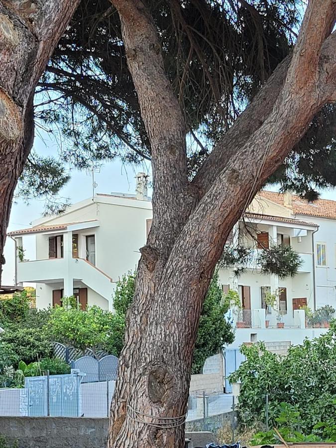 L'Asfodelo Bed & Breakfast La Maddalena  Eksteriør bilde